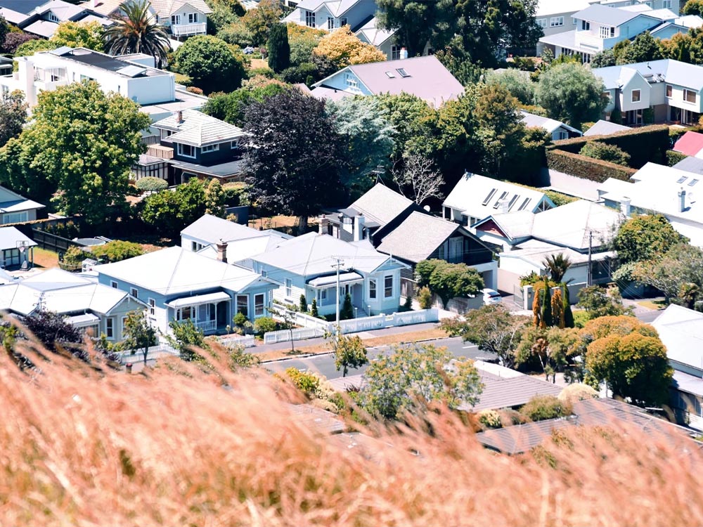 Feature Image