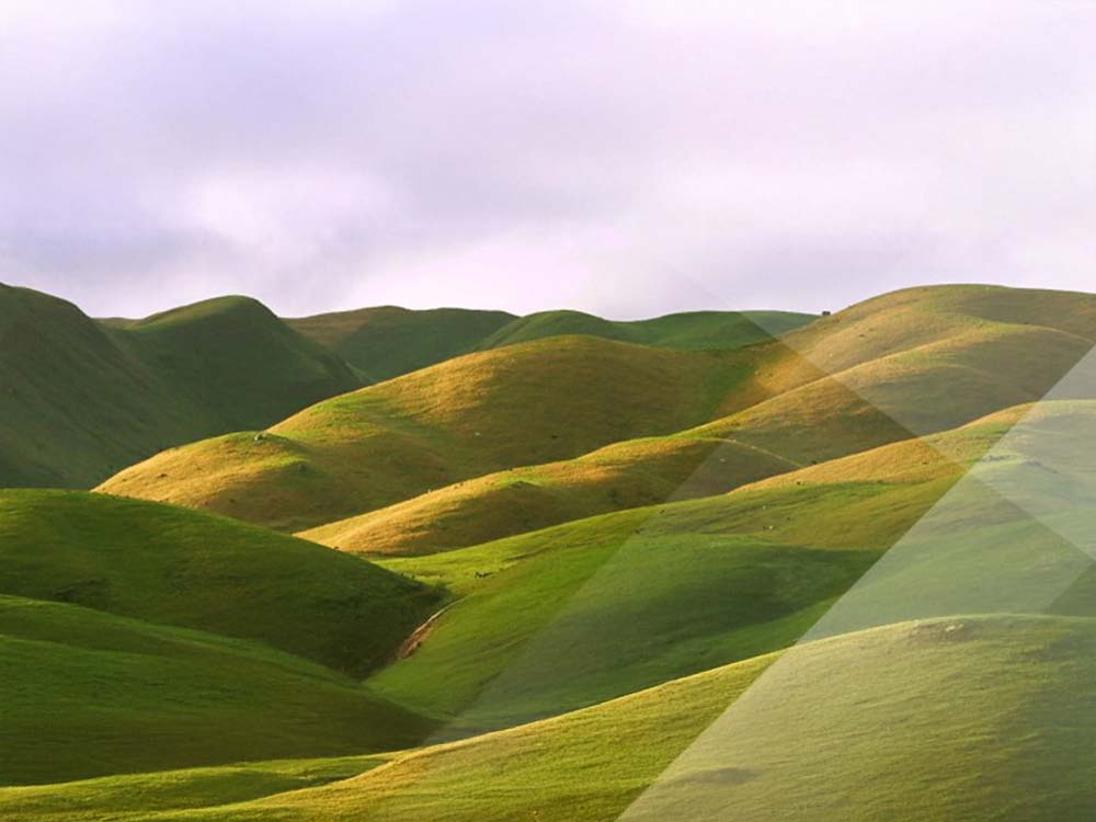 Feature Image